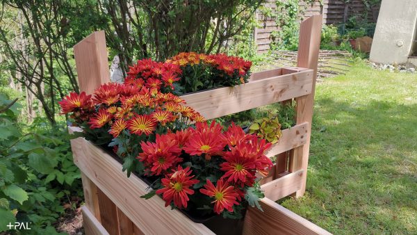 Eine skygarden-Ecke im Garten von #yvimr - plusPAL