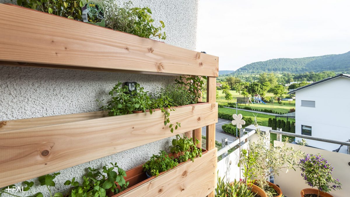 Ein Kräutergarten auf dem Balkon für die kommende Saison! plusPAL
