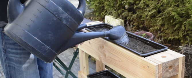 Gießen der Aussaat in dem Pflanzgestell SKY02 für die Gartensaison 2022