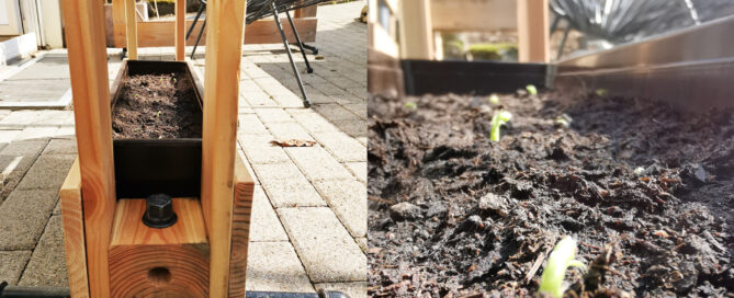 Gartensaison 2022 mit den neuen, quadratischen Pflanzgestellen von Pluspal. Es keimt schon...