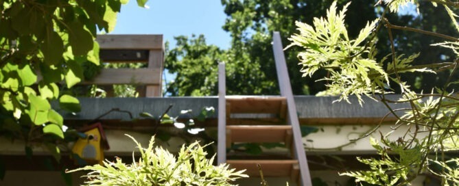 Mit der selbst gebauten Treppe gehts noch einfacher zum Carportgarten!