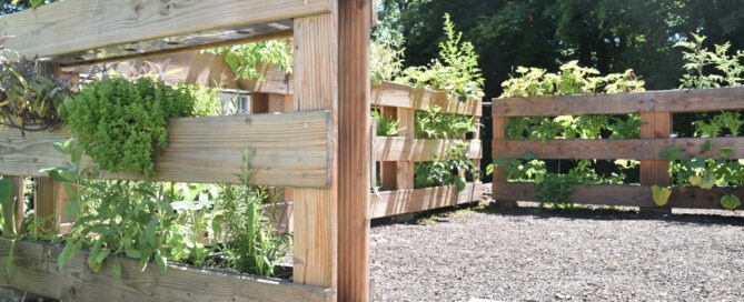 Carportgarten - oben angekommen an unserem Kräuter- und Gemüsegarten!