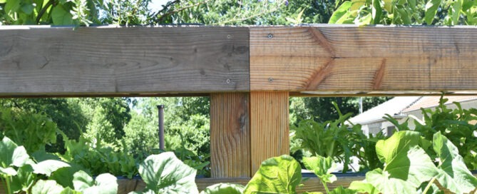 Carportgarten - oben angekommen an unserem Kräuter- und Gemüsegarten!