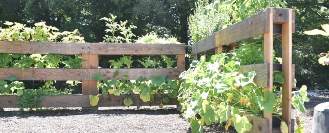 Carportgarten - oben angekommen an unserem Kräuter- und Gemüsegarten!