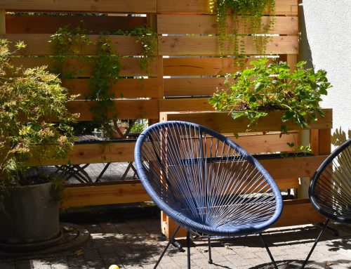 Sichtschutz für ein Doppelhaus mit Pflanzgestell…