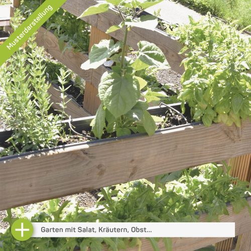 Carportgarten - Minigarten - Gartengestelle aus Holz - Salatgarten
