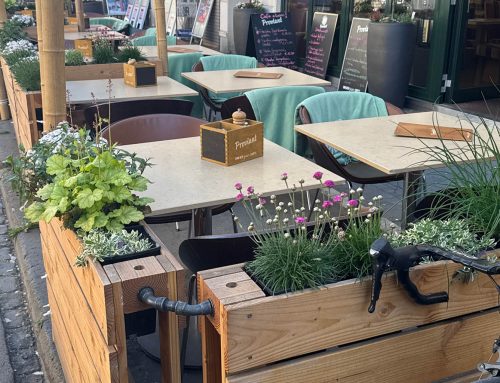 Das Café e Bom in Köln – Terrasse neu gestaltet mit dem Sichtschutz von pluspal!
